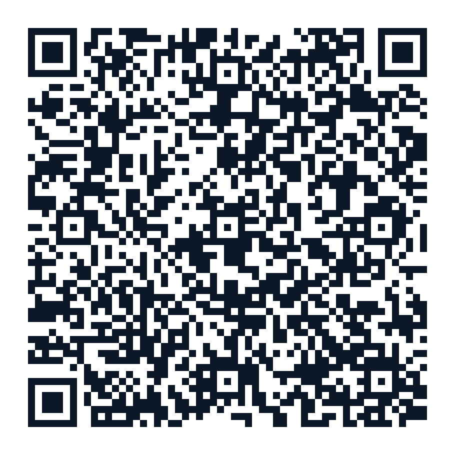 QR code for Pro Painting WhatsApp chat